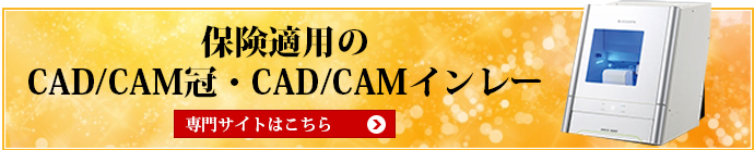 保険適用のCAD/CAM冠・CADCAMインレー 